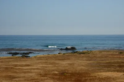 DSC_2498 (Large).JPG